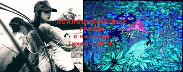 ешки Беломорск