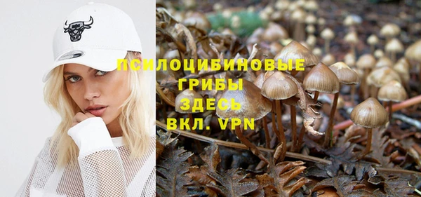ешки Беломорск