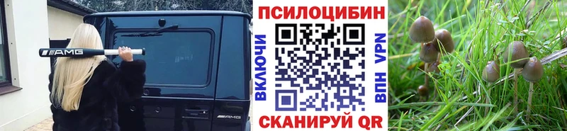 Галлюциногенные грибы GOLDEN TEACHER  Котельниково 